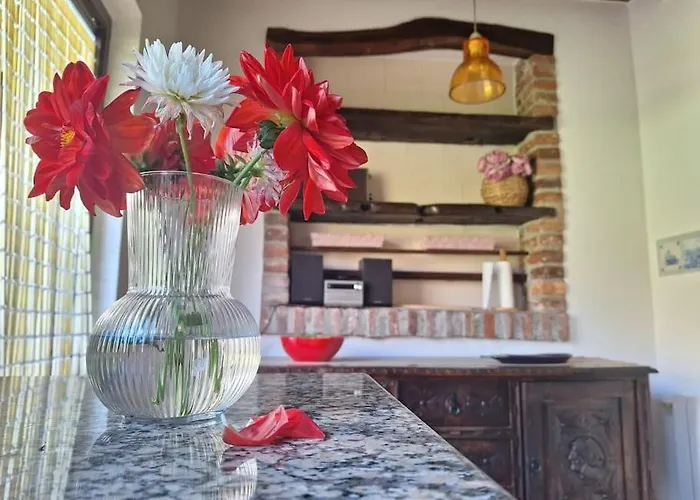 El Papín Сasa de vacaciones *